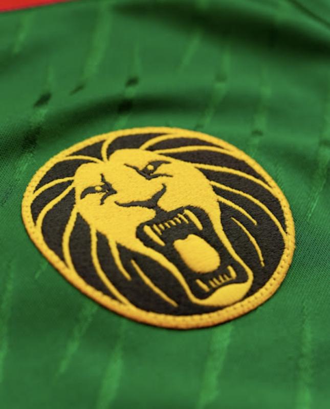 2022 Cameroon jersey