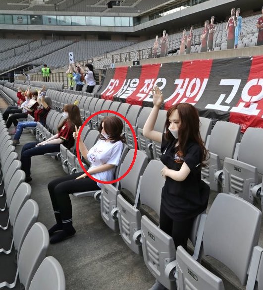 Fc Seoul Apologizes For Populating Stands With Sex Dolls