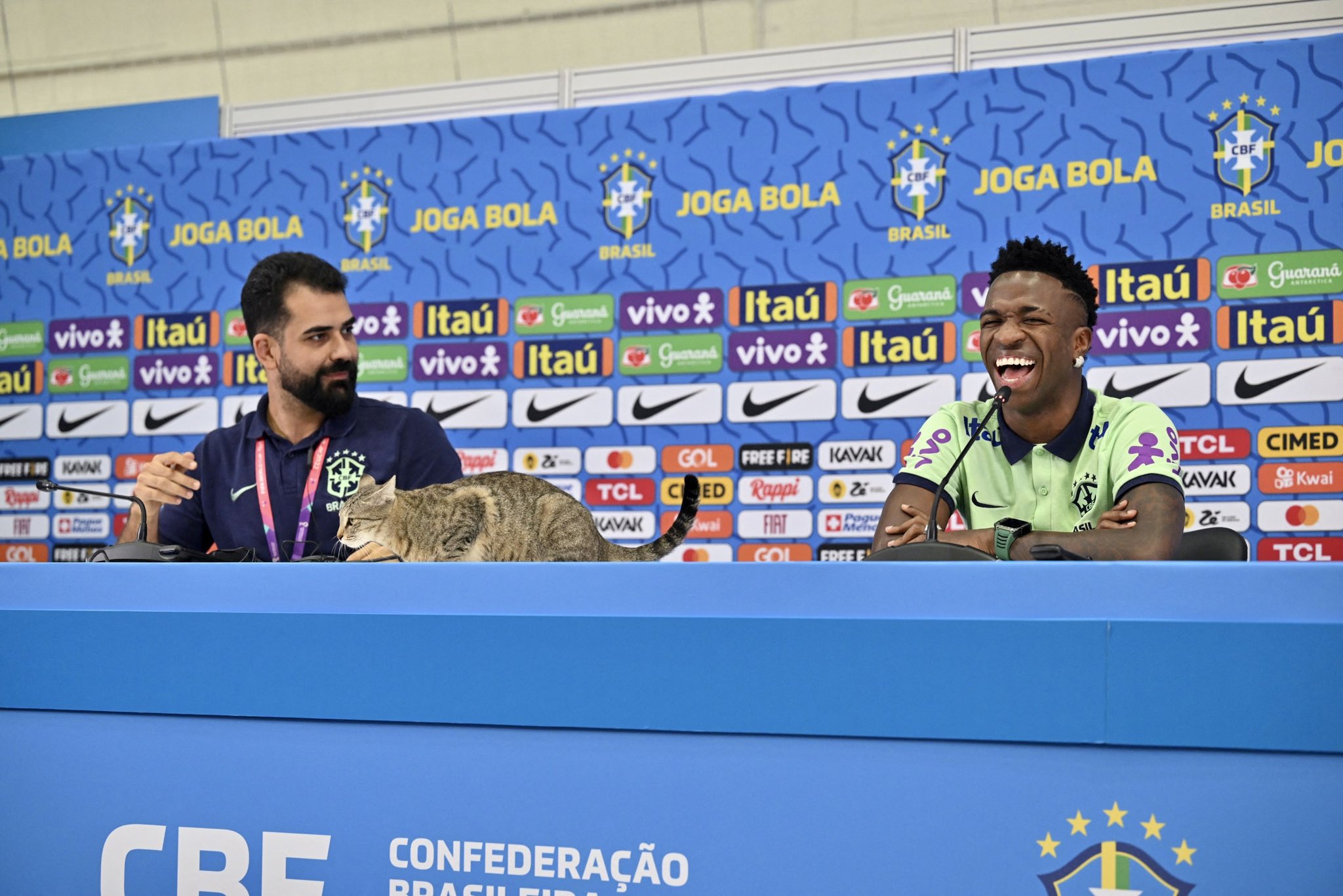 Vini Jr Cat Visitor During Brazil World Cup Press Conference