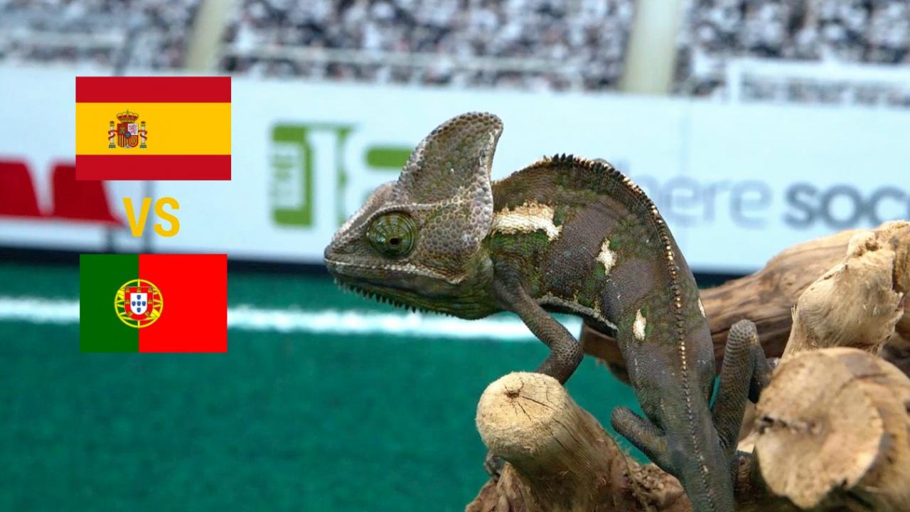 Spain Portugal Prediction