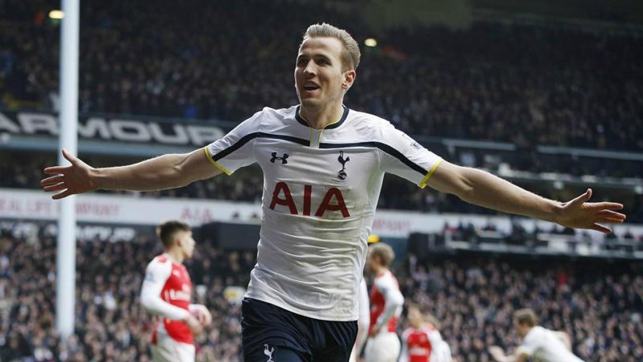 Harry Kane celebrates his incredible goal. 