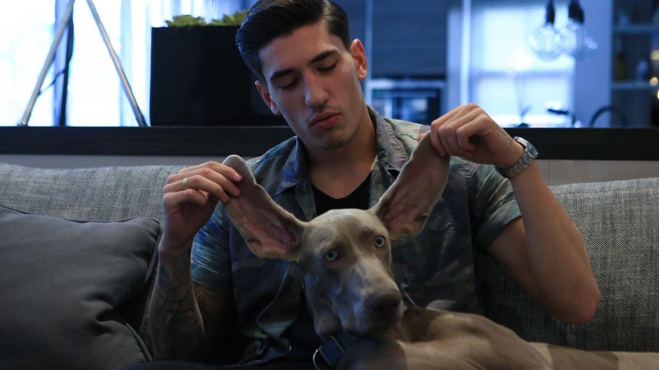 Footballers With Animals - Hector Bellerin and his dog