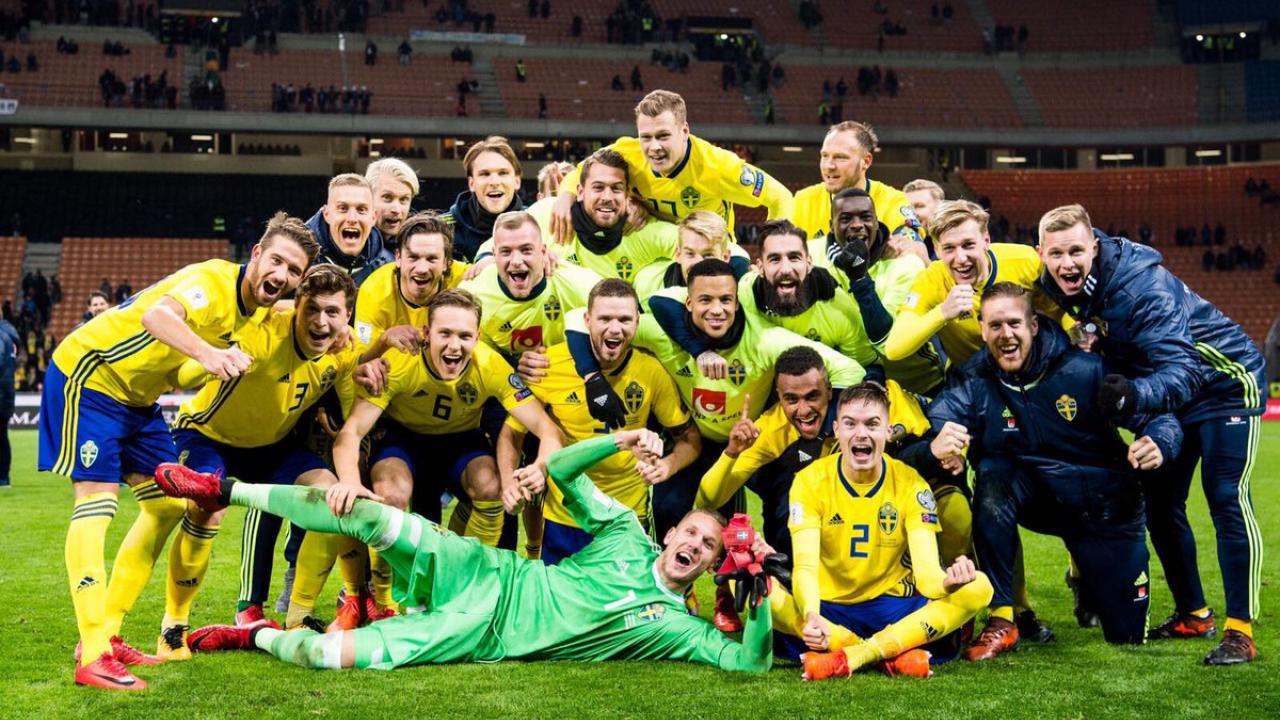 Zlatan Ibrahimovic Sweden Quote