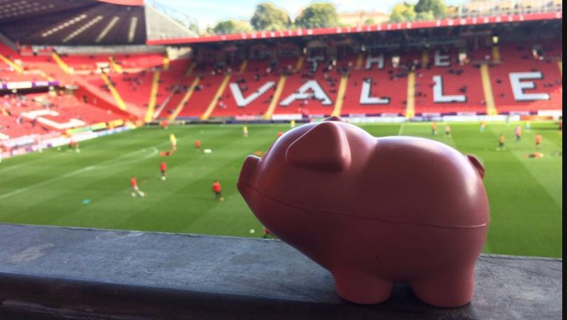 pigs on the pitch