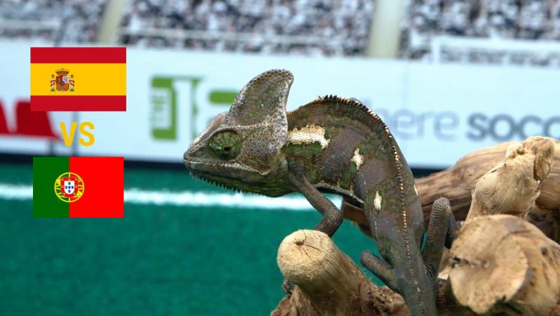 Spain Portugal Prediction