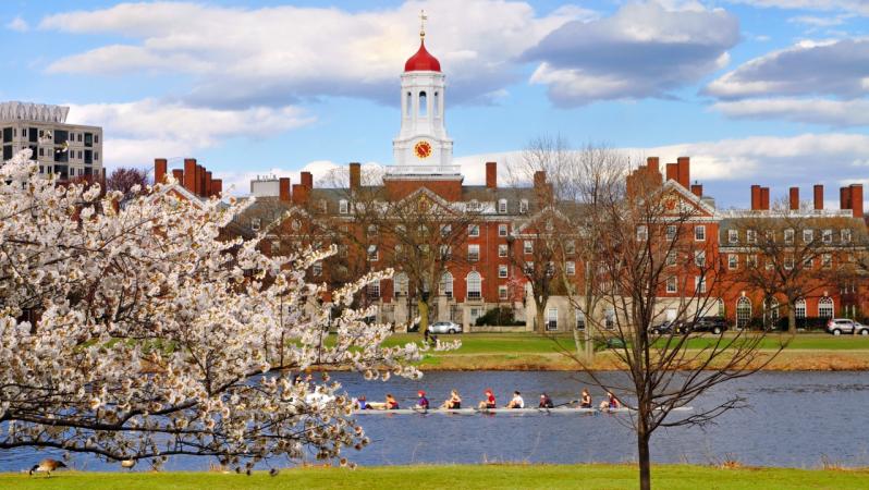 Harvard suspends men's soccer