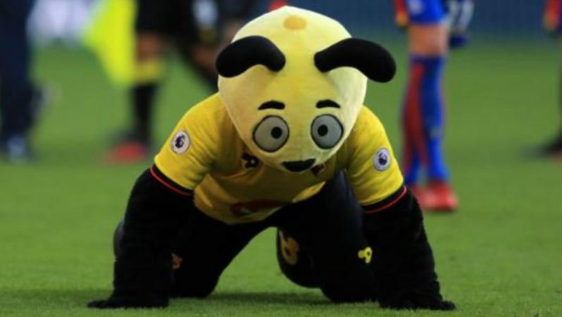 Harry the Hornet