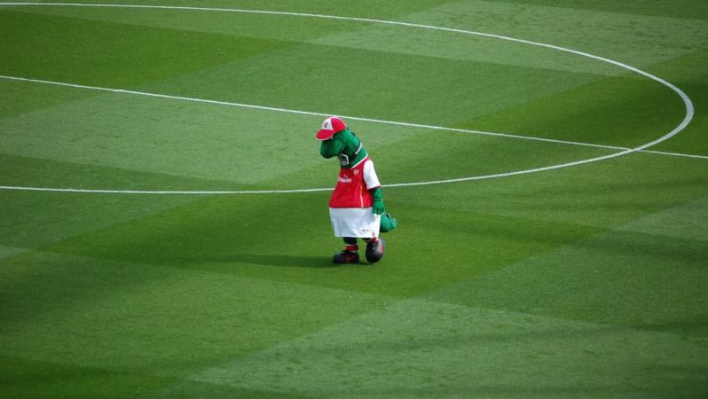 Gunnersaurus