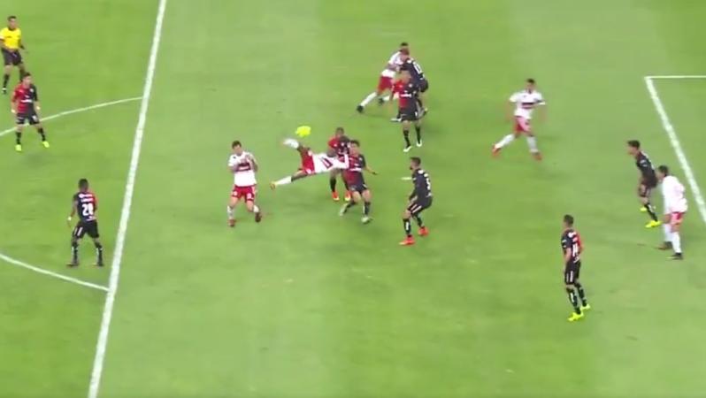 Aviles Hurtado