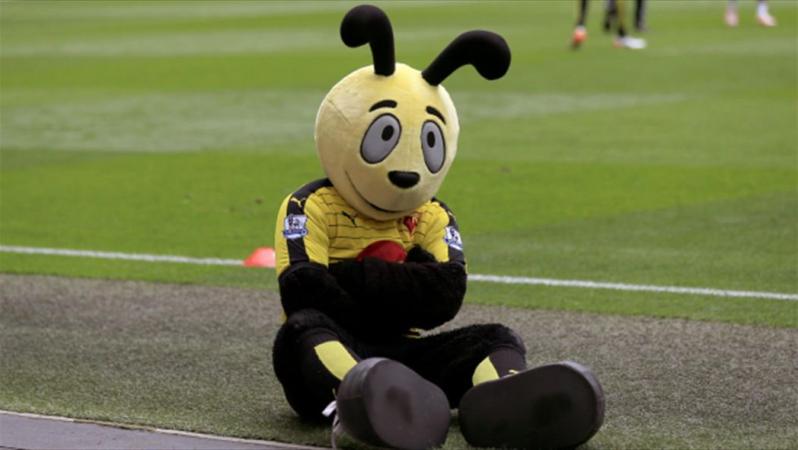 Harry the Hornet