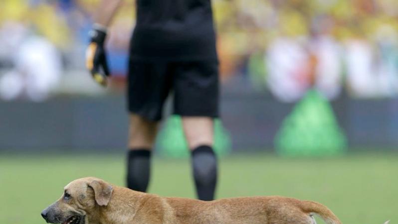 Brazil Colombia World Cup qualifying