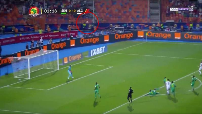 2019 AfCoN Final Highlights