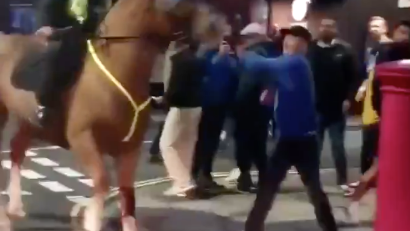 Portsmouth Fan Punches Police Horse