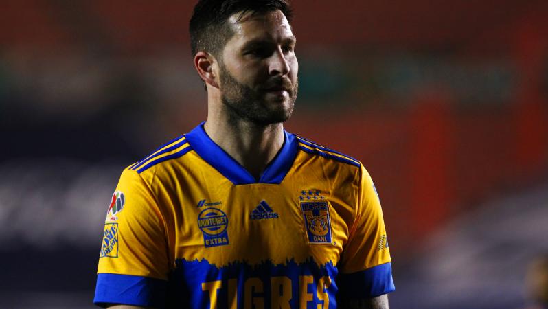 Gignac Tigres