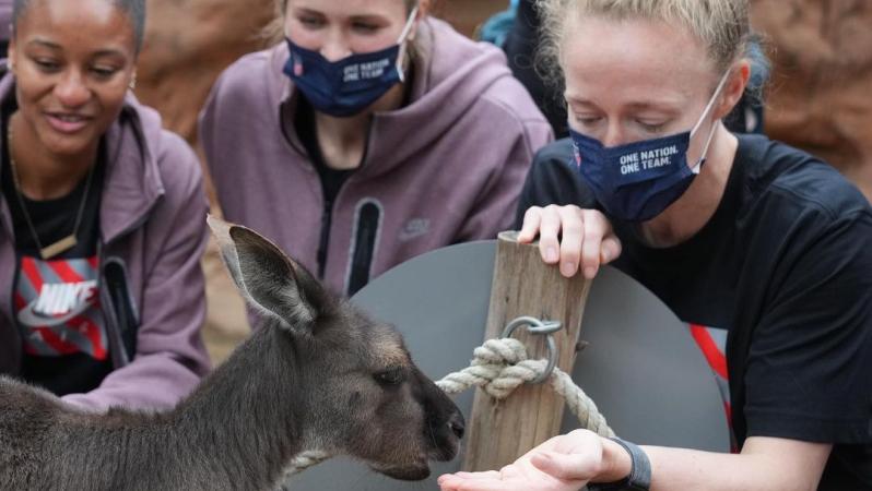 USWNT Petting Kangaroos