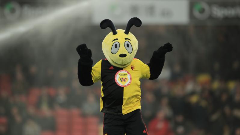 Watford mascot