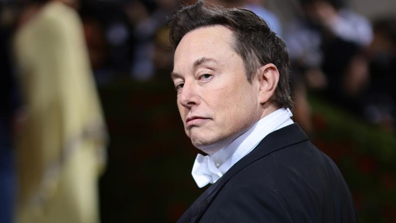 Is Elon Musk Buying Man United