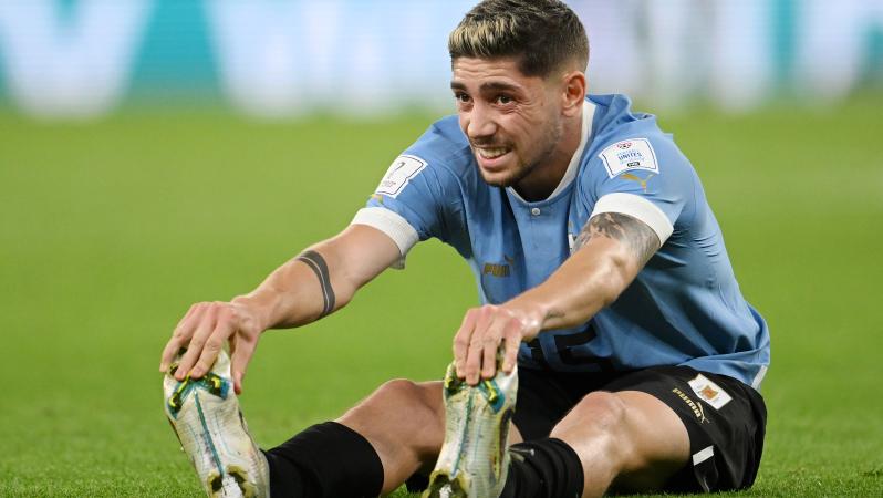 Reaction after Federico Valverde Shot vs South Korea