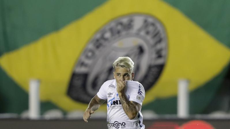 Santos advance to Copa Libertadores final