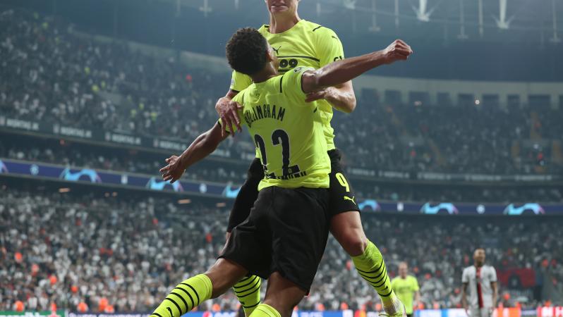 Erling Haaland Champions League goals