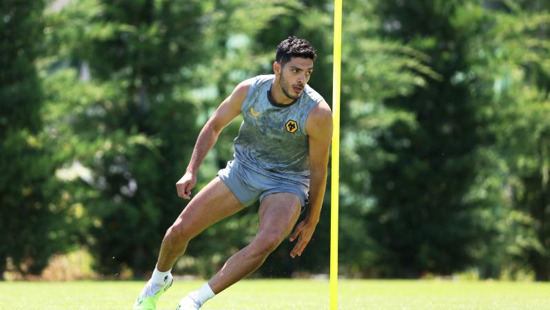 Raúl Jiménez Fulham