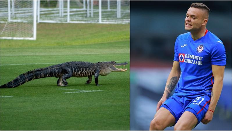 Previa Cuartos De Final Concachampions