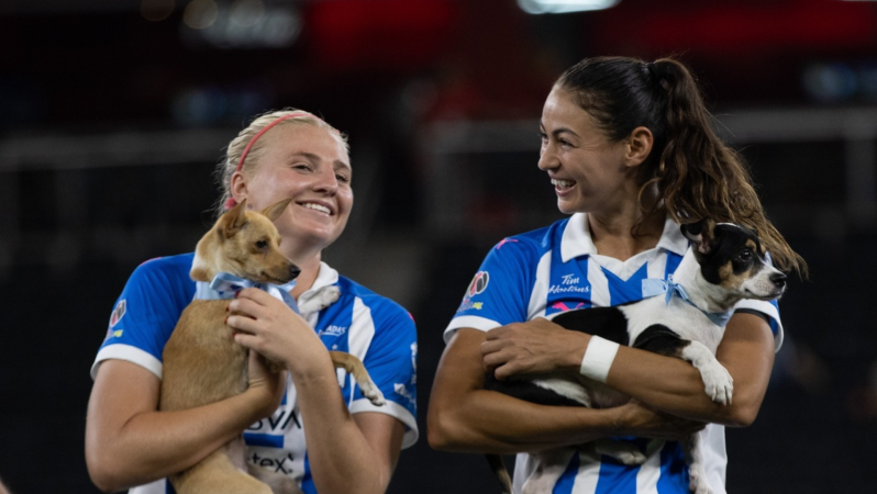 Rayadas adopción de perritos