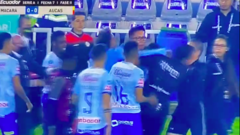 Referee in Ecuador punched