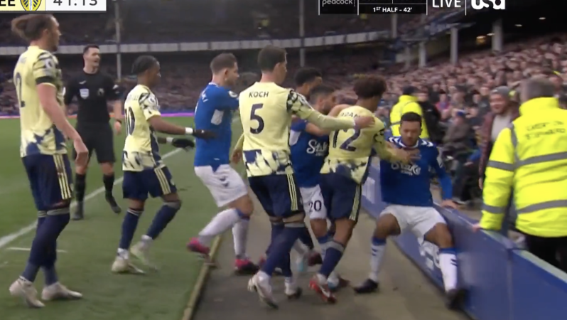 Leeds Everton fight