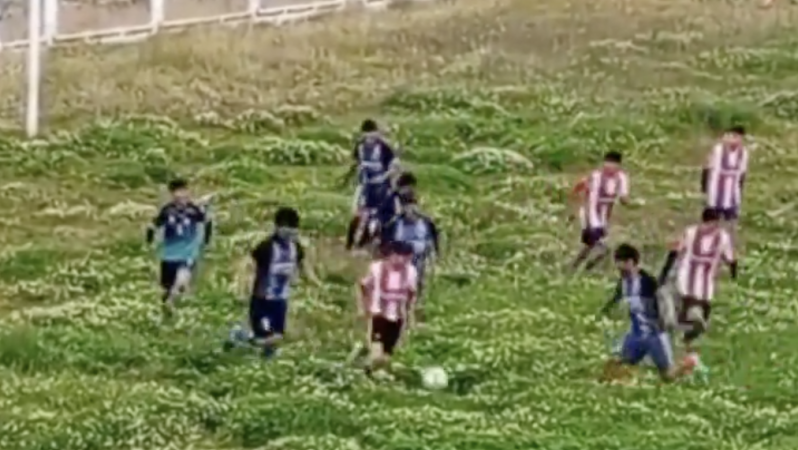 Copa Peru field