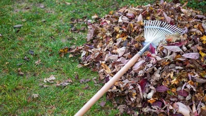 Rake