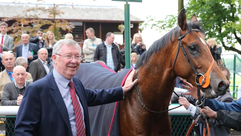 Sir Alex Ferguson dispute over a horse led to Malcolm Glazer Ownership at Man U
