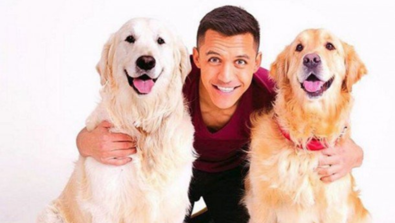 Alexis Sanchez Dogs