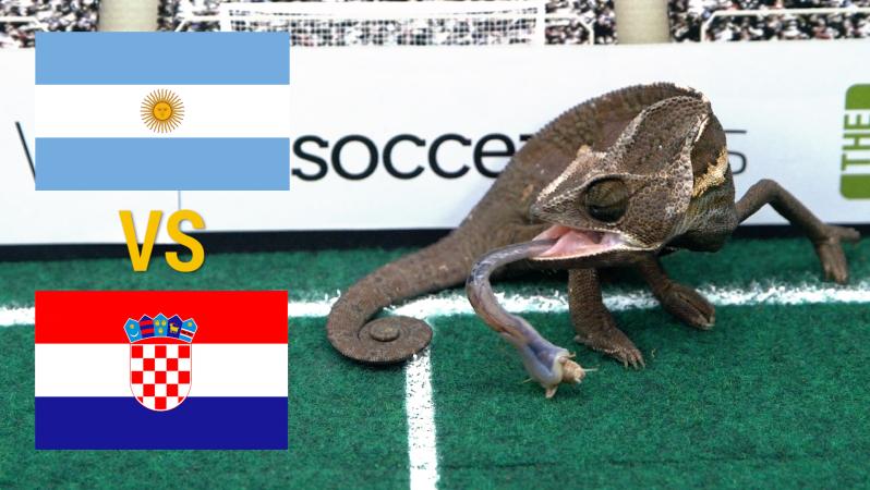 Croatia vs Argentina Prediction