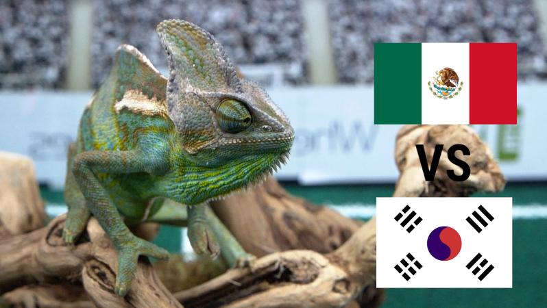 Leon the Chameleon predicts Mexico vs. South Korea