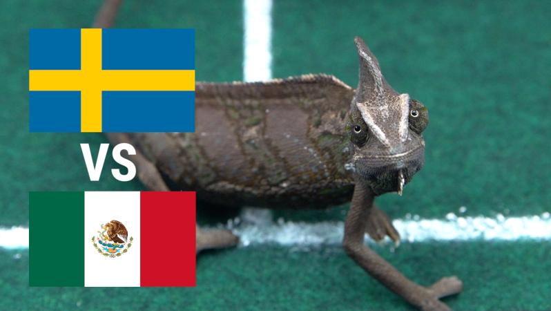 Leon picks between Mexico and Sweden