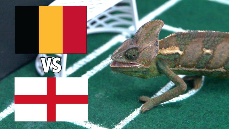 Leon picks between England and Belgium