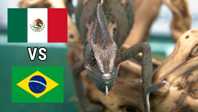 Leon picks between Mexico and Brazil