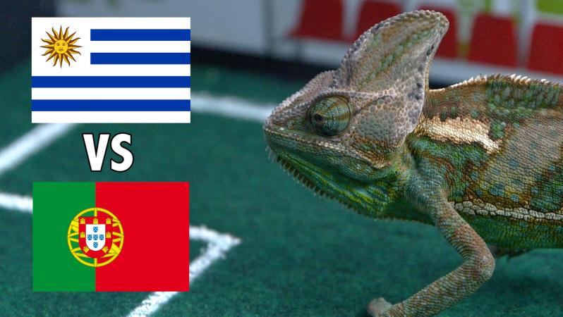 Leon picks between Uruguay and Portugal