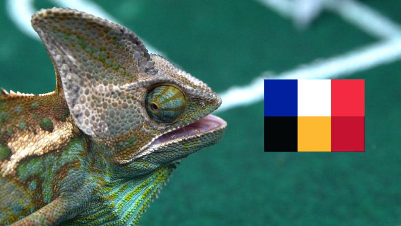 Leon chooses between France and Belgium