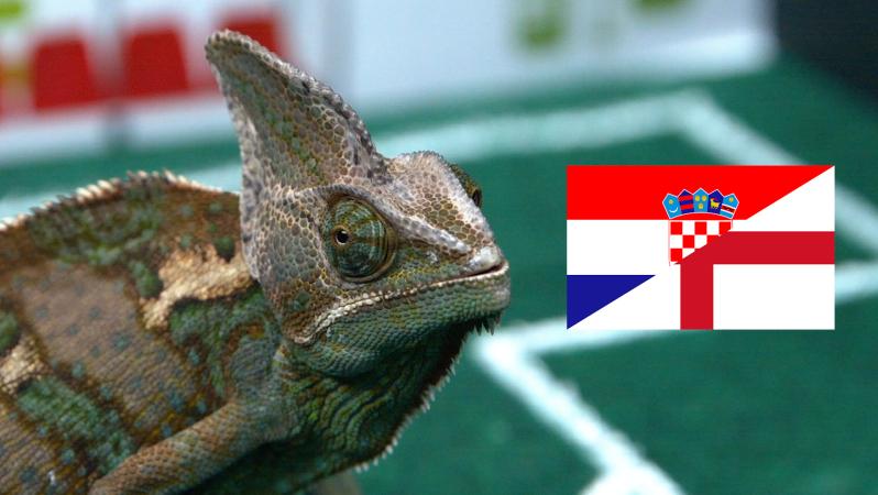 Leon chooses between England and Croatia for this semifinal matchup.