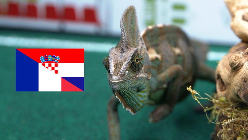 Leon chooses between France and Croatia for the World Cup final.