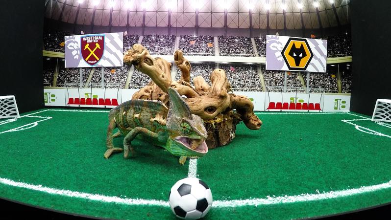 Leon chooses between West Ham and Wolves for this EPL matchup.