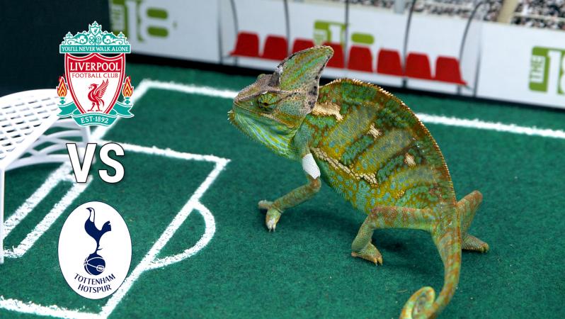 Leon chooses between Liverpool and Tottenham for this EPL matchup.