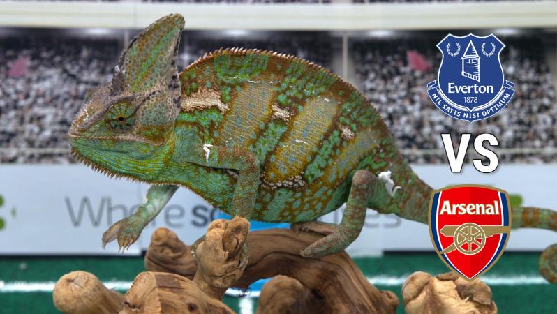 Leon predicts the Arsenal Everton EPL match.