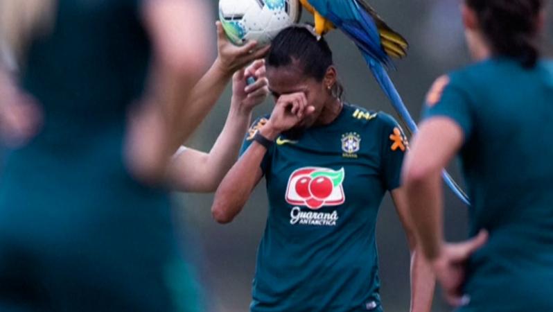 Macaw Lands On Bruna Benites During Brazil Women's Practice