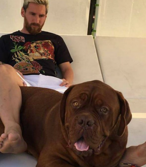 Look How Big Messi S Dog Is The18