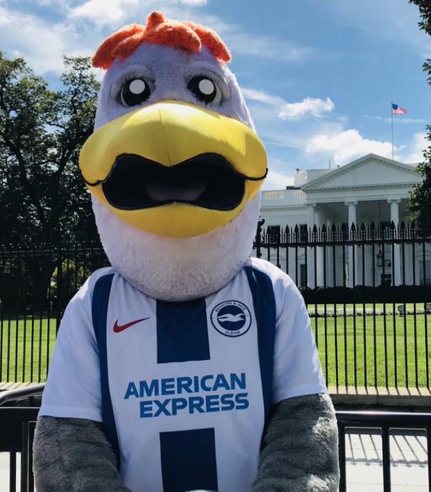 Premier League Mascots Bring Sanity To Washington, D.C.