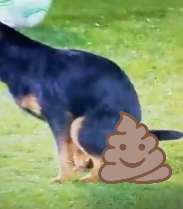 Dog Poops On Europa Conference League
