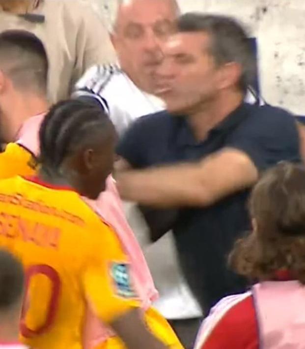 Bordeaux fan shoves player